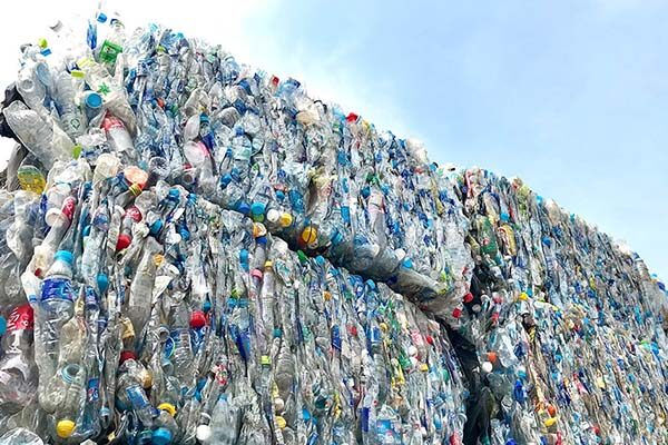 photo - Nika Berlian International - 7 photo - Nika Berlian International - 7